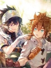 无需登录免费观看
